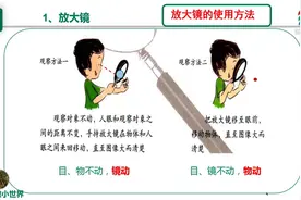 六年级科学(教科版)《第一单元微小世界》视频封面