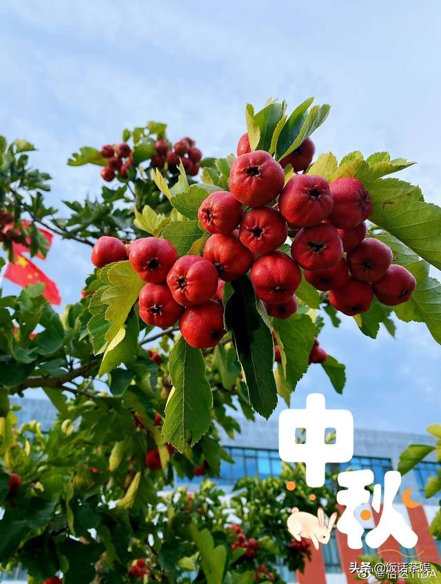 ФսԴӪš24СʱϴգƷһս