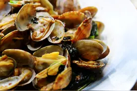 5月的花蛤肥美而鲜嫩，姜葱爆炒再加一勺沙茶酱，咸鲜微辣很过瘾图片