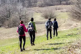 一起爬山吗？健康的那种…图片