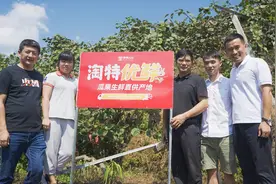 阿里Q2财报：服务县域消费，淘特高速增长年度活跃消费者超2.4亿图片