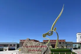 可可西里保护区图片