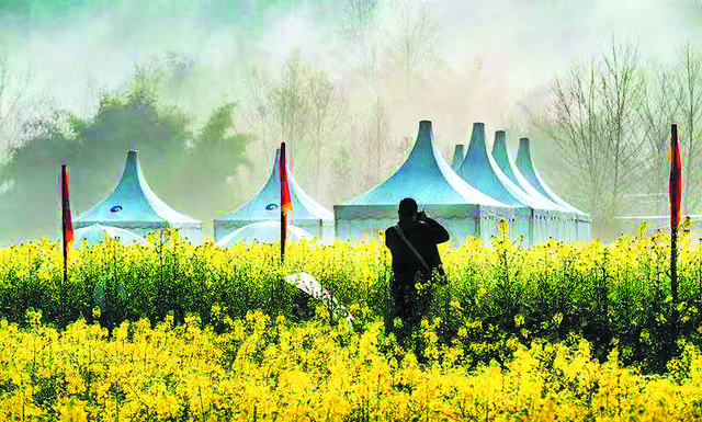 玩转自驾赏花节！崇州推出四条特色精品赏花路线