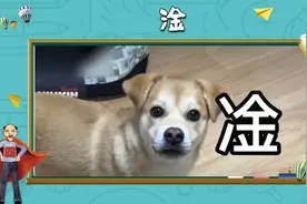 淦：还没搞清楚怎么读，这字的意思就变了视频封面