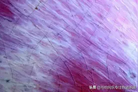 不开片就不是好钧瓷吗？浅谈钧瓷开片图片