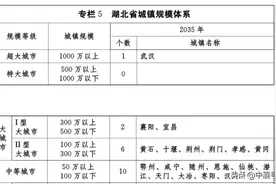 励志！湖北决定建成9个大型城市 数量占比超过全省成员50%图片