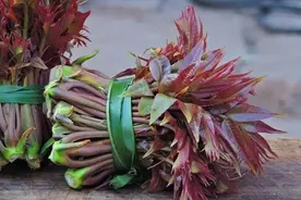 有的农村老人喜欢收集香椿皮，此物有何作用？不知道的看过来图片