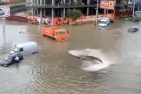紧急辟谣！关于郑州暴雨的这些消息别信别传图片