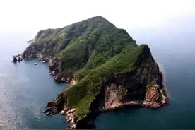 大连蛇岛上的蛇为何越来越凶猛？一度陷入末路，如今重焕生机图片
