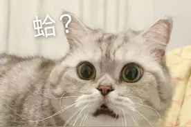 表情包分享图片