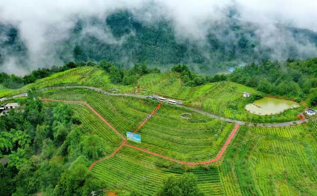航拍旺苍美丽乡镇，云雾笼罩像是披上了一层轻纱，似仙女下凡