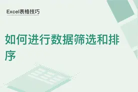 Excel表格技巧—如何进行数据筛选和排序图片