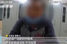 美女少妇、中年丧偶、遗产500万美金，等你来花！图片