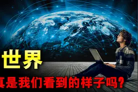 世界是虚拟的？所有人都是“0+1”的数据？疯狂的世界虚拟论图片
