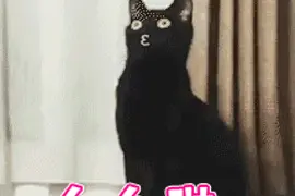 看展太麻烦？十余家美术馆的预约方式都在这儿啦图片