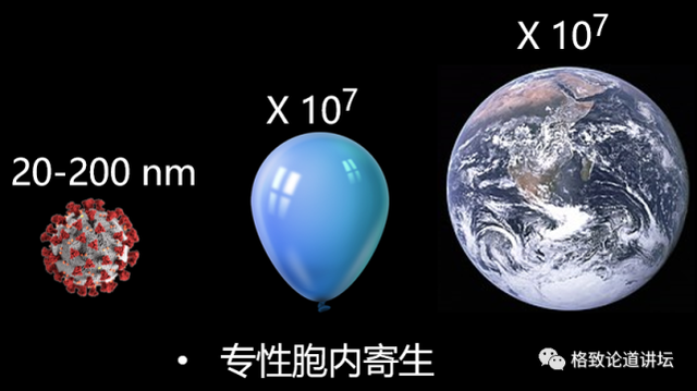 我们的呼吸道里面，常年会有100多种病毒寄居？