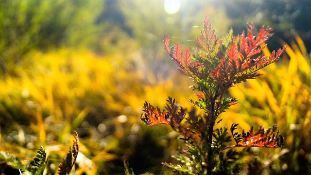 两个相似的矩阵一定可以相似对角化