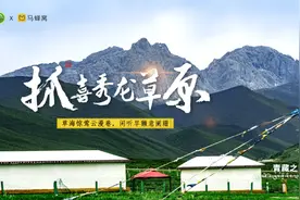 【探客行动】抓喜秀龙草原 | 闲听旱獭意阑珊图片