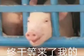 沙雕表情包：我怎么这么的可爱图片
