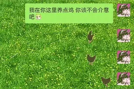 在微信里养“宠物”，突然火了图片