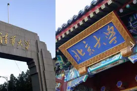 清华北大：我们是世界一流大学，郑强教授：那汉奸都是谁培养的？图片