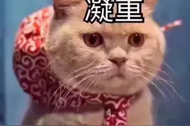 莱芜6月份最新房价出炉！本月将有众多新项目开盘图片