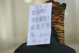 徐州卫校本科/专科计划已公布，最低录取线已出图片