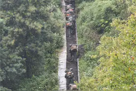 多图直击！武警特战队员开展“魔鬼周”极限演练图片