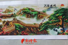 “钻石画骗局”再现，全国多地宝妈被骗金额或达数千万元图片