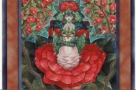 游戏王：代表春夏秋冬的四位花神，除了美丽面孔外还拥有超强效果图片