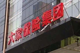 个险老将郁华出任大家人寿临时负责人，能否加速个险转型？图片