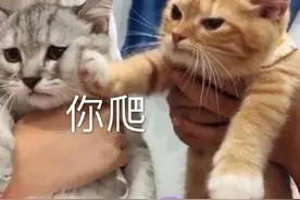 搞笑表情包图片：瞧我笑一笑十年少图片