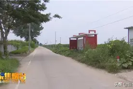 问政追踪：莱州加快推进城乡公交一体化进程图片
