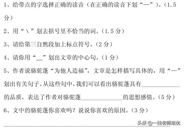 知识点+同步练习题 部编版四年级语文上册 10 爬山虎的脚