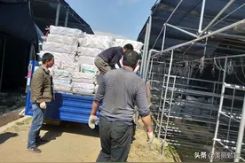 杨庄村：特色产业点亮脱贫希望图片