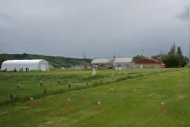 又一学校挖出孩童遗骸，加拿大彻底瞒不住了，道德良知彻底丢失图片