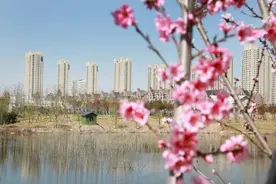 开封西湖又有大动作！图片