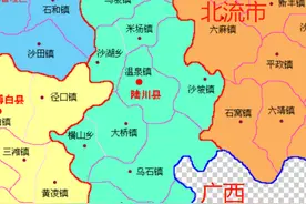 玉林容县15镇、陆川县14镇的变迁：人口、土地、工业…基本统计图片
