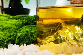 武林茶会｜焚香抚琴闲煮茶，慢品易武一扇磨图片