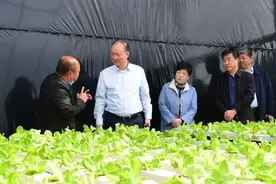 贺亦农区长带队赴河北省隆化县对接2020年东西部扶贫协作工作图片