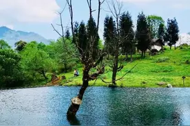 胜利油田，可能和中国石油大学（华东）一样，从东营搬迁青岛吗？图片