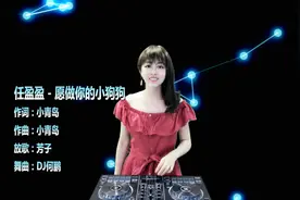 任盈盈《愿做你的小狗狗》DJ何鹏版 甜美可爱 动感舞曲视频封面