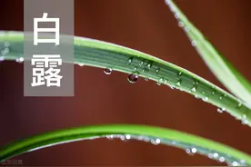 白露到了，农村老人常说白露有“五怕”，分别指的是啥？看完懂了图片