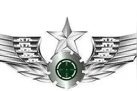 中国人民解放军六大军兵种臂章与胸标图片