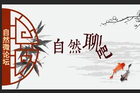 “裁执分离”的争议与探索图片