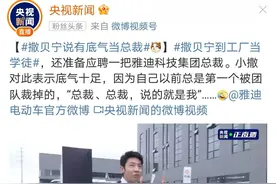 撒贝宁应聘雅迪总裁：总裁，总裁，说的就是我图片