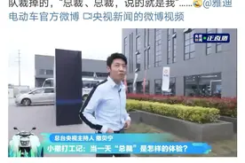 撒贝宁应聘雅迪总裁：总裁，总裁，说的就是我图片