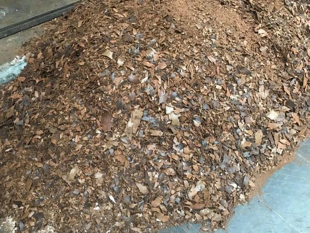 养分含量超高的营养土，自己在家也能做，省下一大笔 买花钱