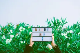 心理学：不管和谁在一起，两个人想要长久，就要避免“蝴蝶效应”图片