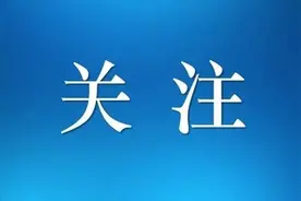 第十六届林博会交通出行“最全攻略”来了图片